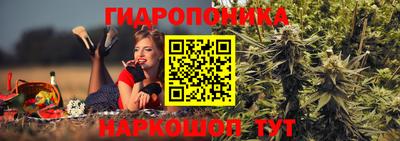 индика Будённовск