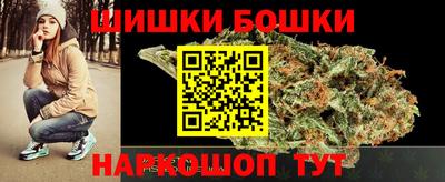индика Будённовск