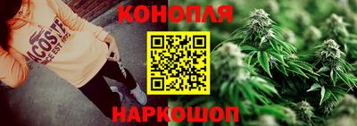 индика Будённовск