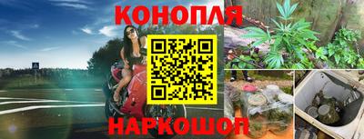 индика Будённовск