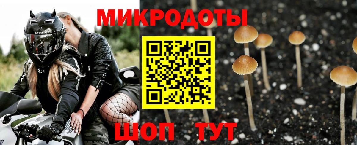 Павловский Посад  Псилоцибиновые грибы мухоморы  Вход с VPN  Псилоцибиновые грибы Cubensis 